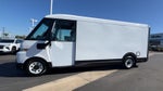 2025 Chevrolet BrightDrop 600 EJY