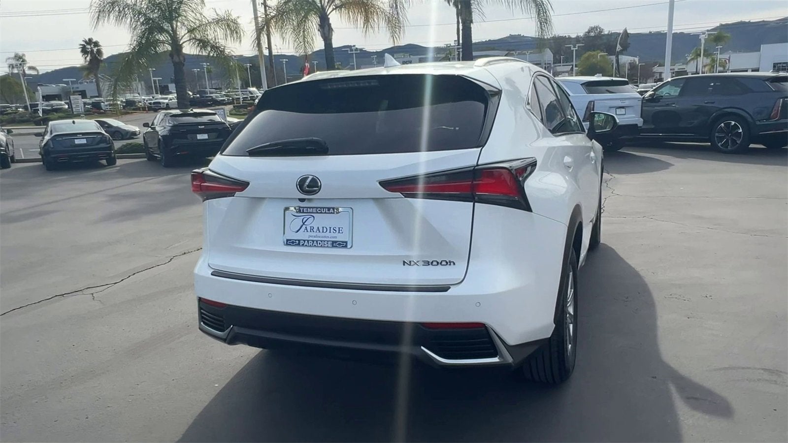 2019 Lexus NX 300h NX 300h
