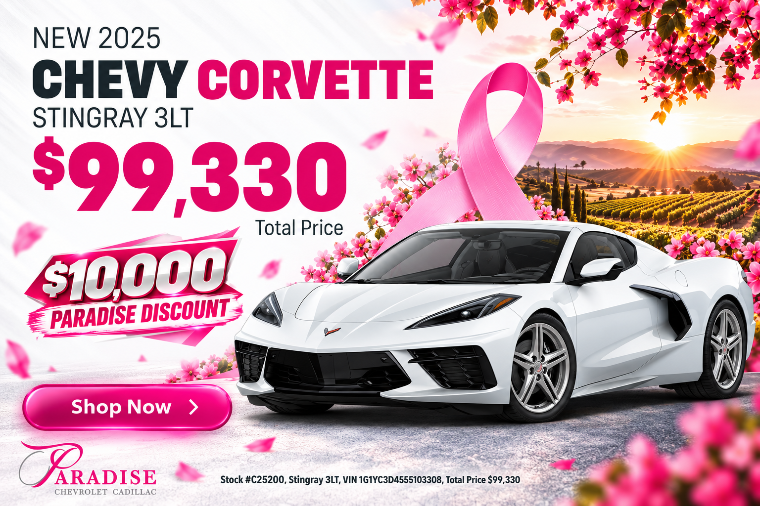 2025 Chevy Corvette Sale
