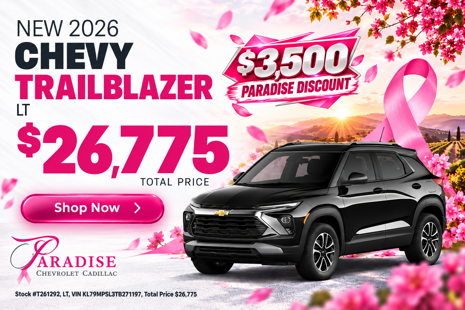 Chevrolet Trailblazer Sale