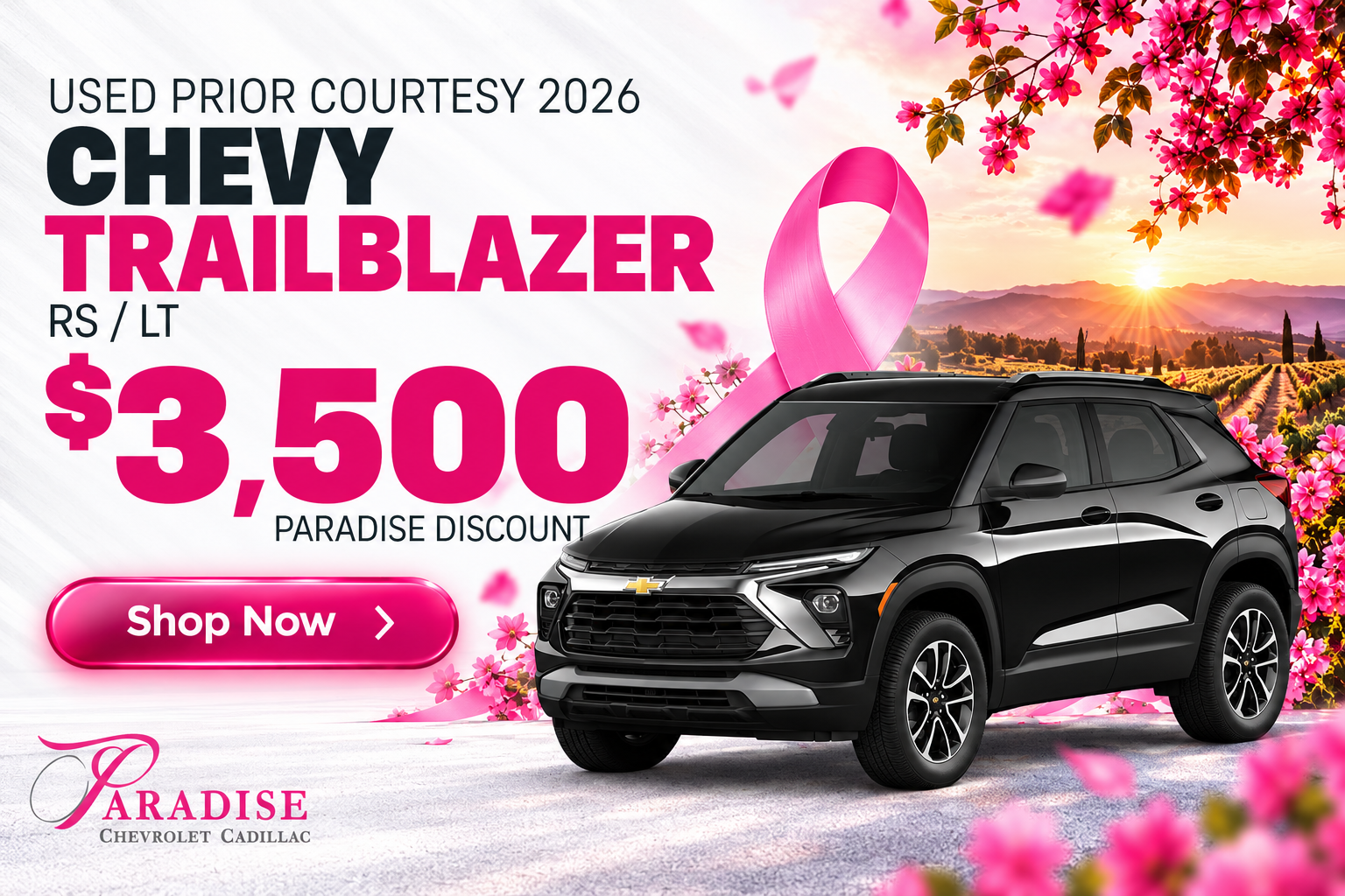 Chevrolet Trailblazer Sale